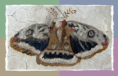 Pear Peacock Moth (Gro�es Wiener Nachtpfauenauge)