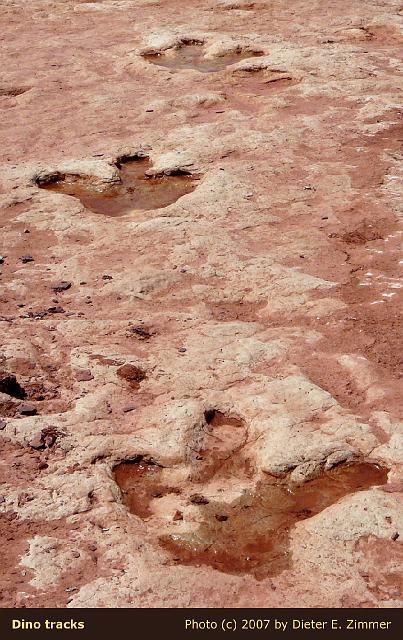 25c Dino tracks, AZ